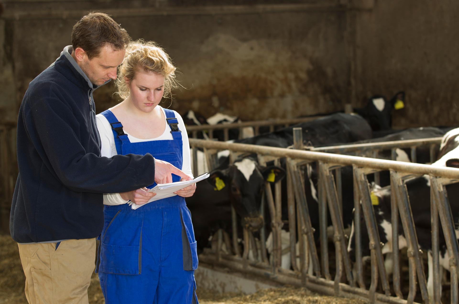 Accompagnement-alternance-MFR-Fougères